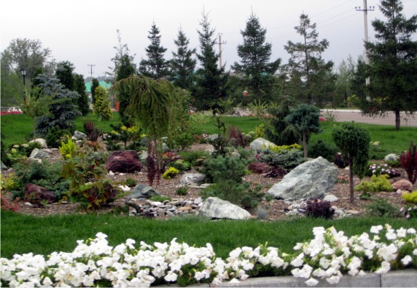 Обустройство альпийских горок, рокариев Обустройство альпийских горок, рокариев