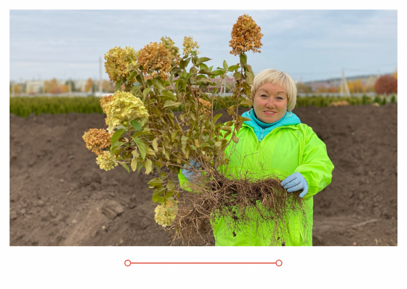 «Дачные Советы» новый выпуск от 07.10.21