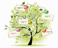 Новинка! Многосортовые яблони, груши, вишни!