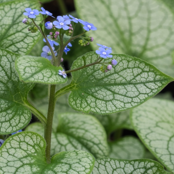 Основное изображение товара