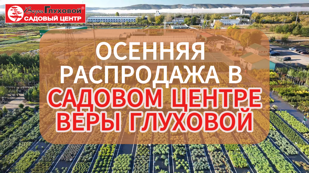 Осень – время скидок!