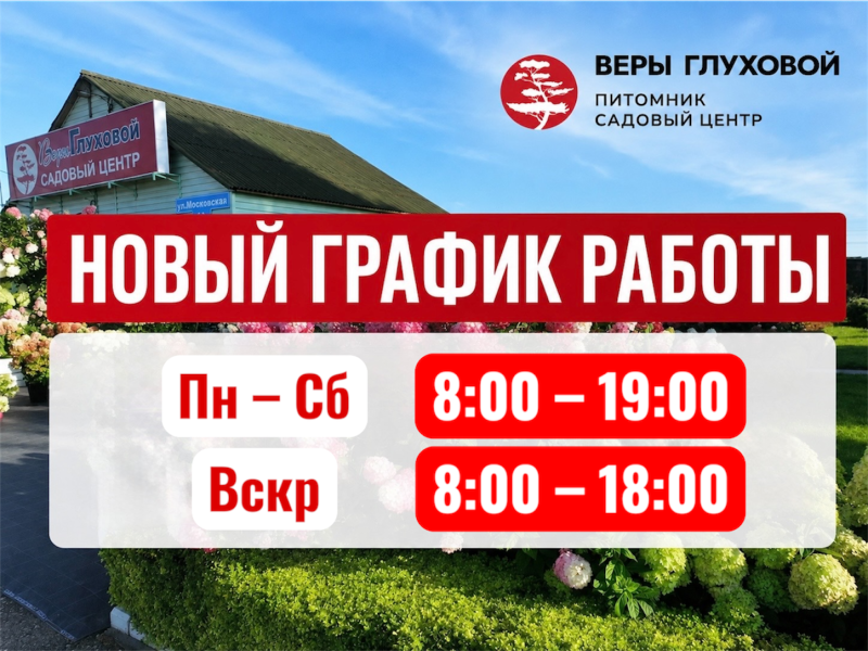 Новый режим работы