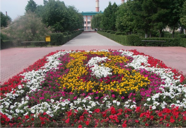 Уход за цветниками Уход за цветниками