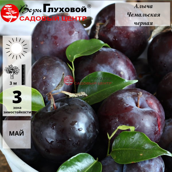 Основное изображение товара