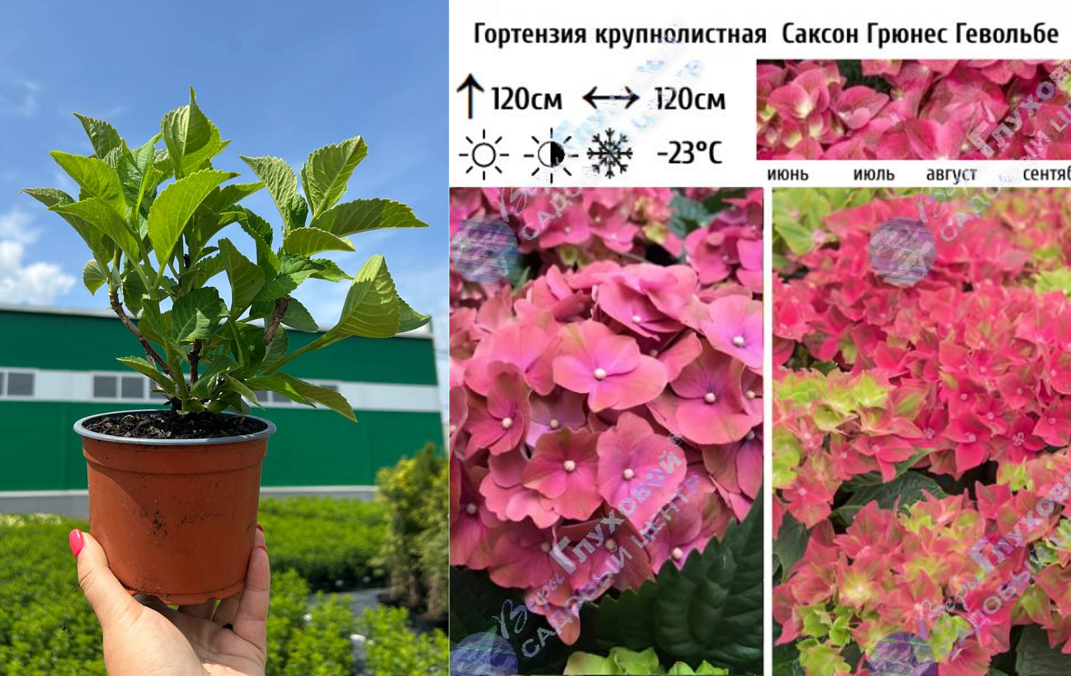 Специальное предложение