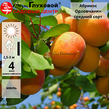 Рисунок 5.jpg