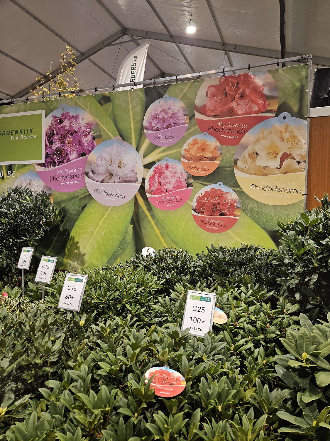 Выставка Groot Groen