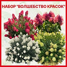 Основное изображение товара