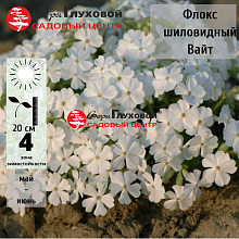 Основное изображение товара