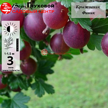 Основное изображение товара