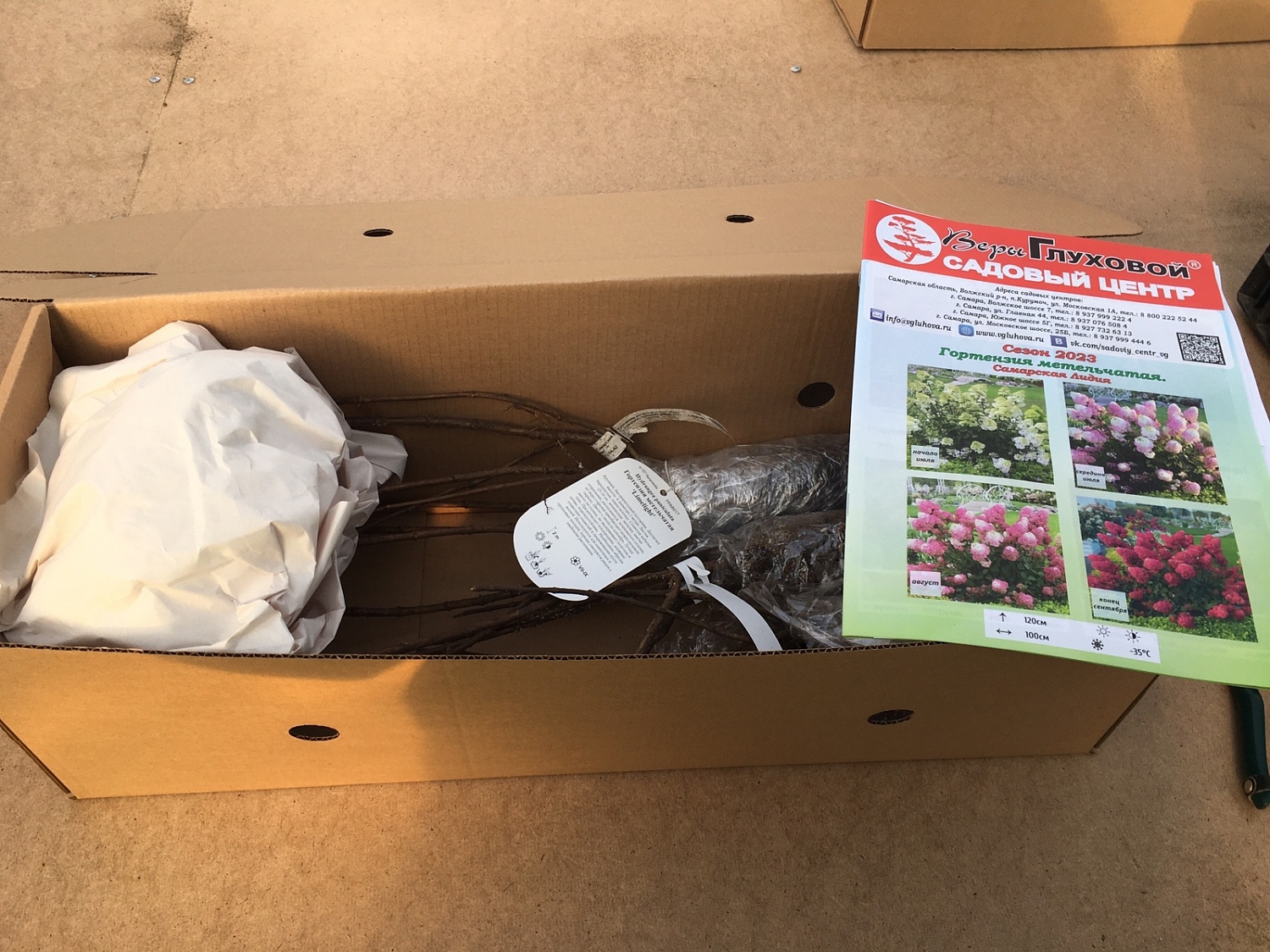 Началась отгрузка заказов